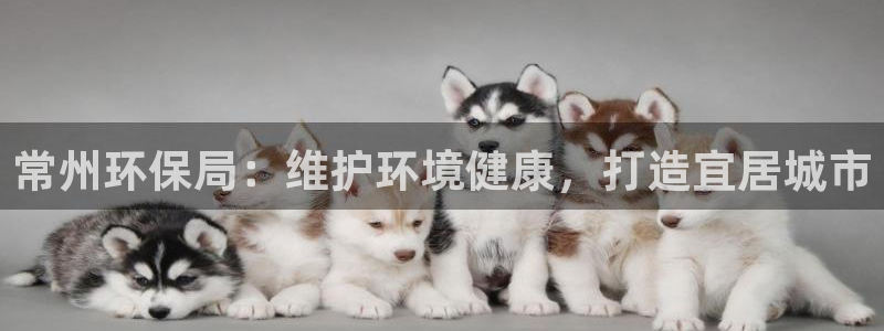 jdb电子攻略