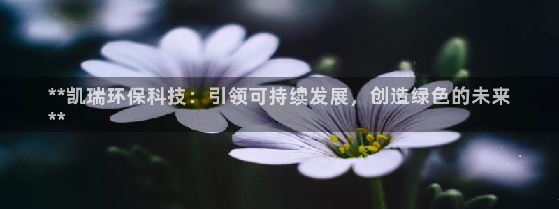 jdb电子游戏源码