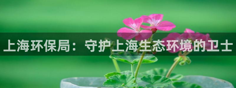 jdb爆奖
