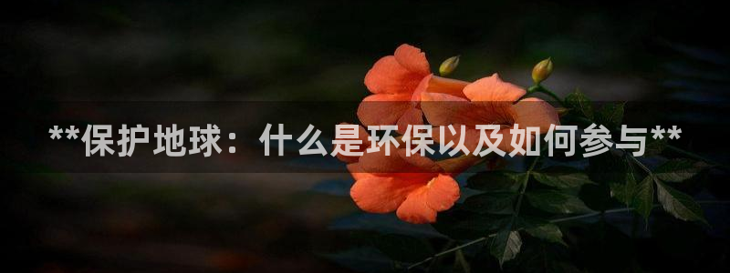 jdb电子游戏怎么玩