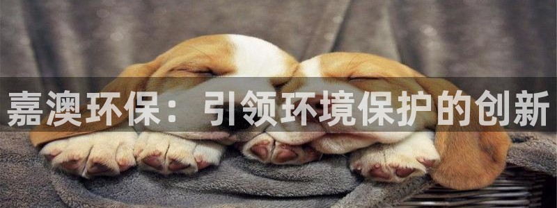 JDB电子夺宝72倍金刚