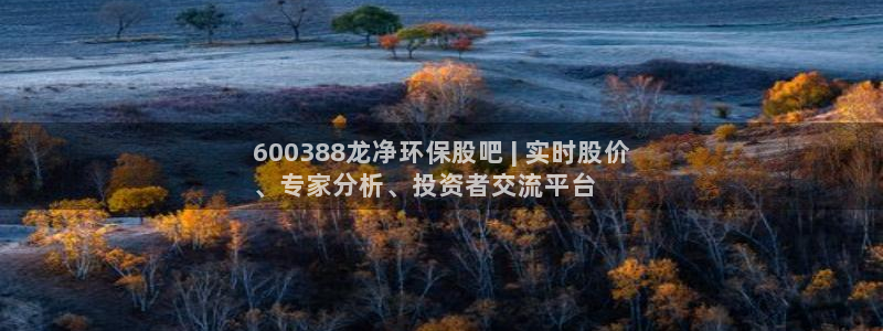 JDB电子游戏花开富贵怎么打