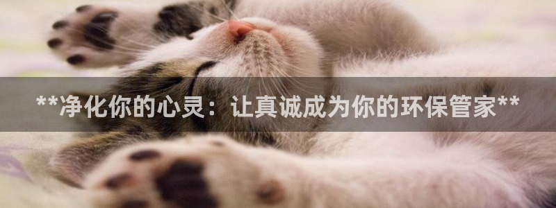 jdb五龙捕鱼1800倍