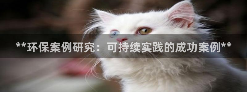 jdb电子游戏哪个容易赢
