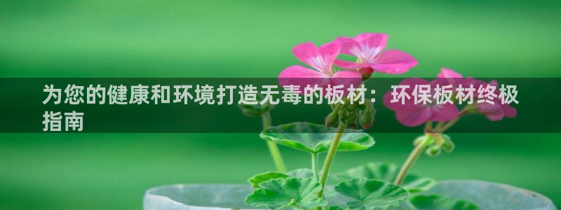 jdb电子飞鸟派对最火的一句