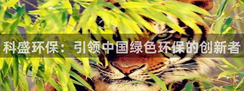 jdb飞鸟派对bug