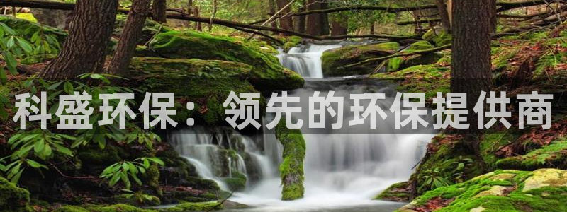 JDB电子游戏花开富贵怎么打