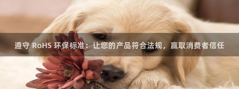 jdb台湾黑熊技巧