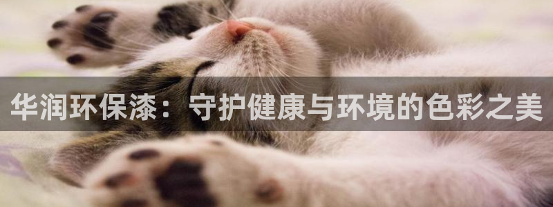 jdb五龙捕鱼平台尙11yb tv