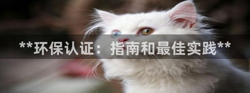 jdb变脸爆分视频