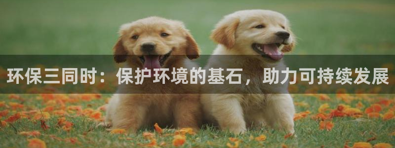 jdb夺宝游戏公司