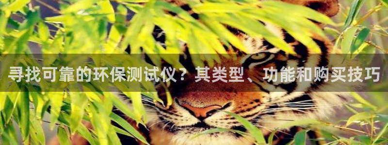 jdb平台是哪个公司