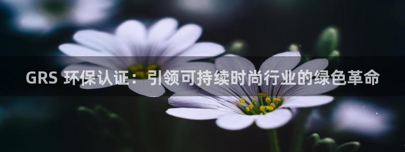jdb电子放水规律