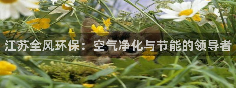 JDB电子公司官网