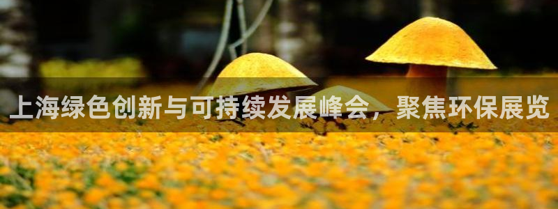 jdb电子平台能提现吗是真的吗