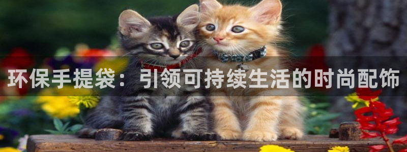 JDB电子游戏大奖