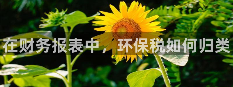 JDB电子夺宝试玩