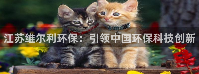 jdb夺宝 试玩