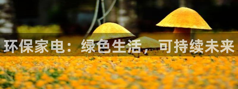 jdb开运夺宝大奖