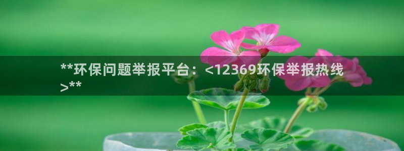 jdb电子有多坑