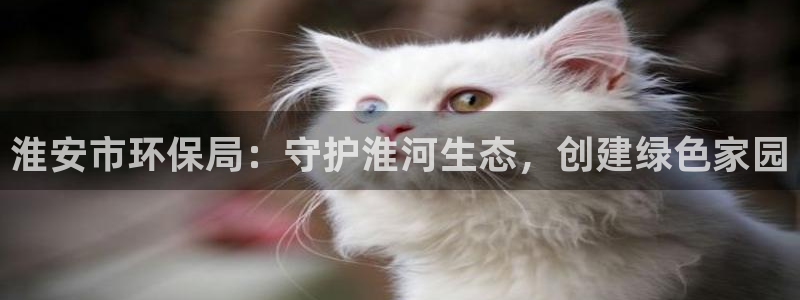 jdb电子输几十万