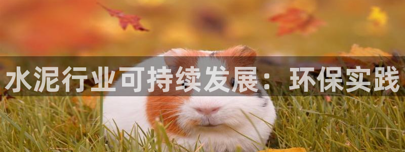 jdb电子平台下载