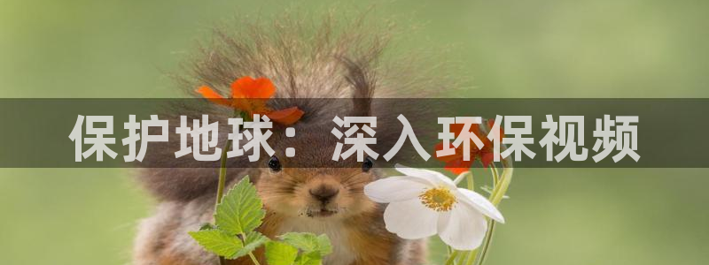 jdb电子夺宝游戏变脸2