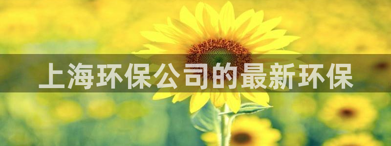 jdb变脸2