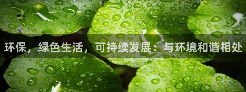 jdbc官网