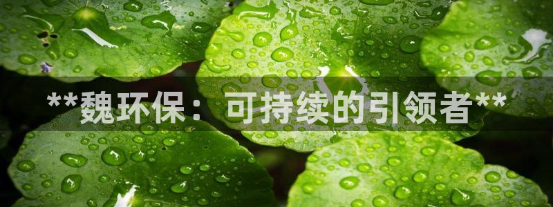 jdb电子工具