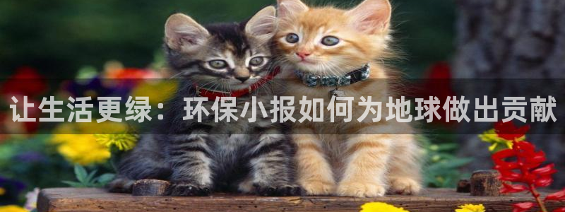 JDB电子网址