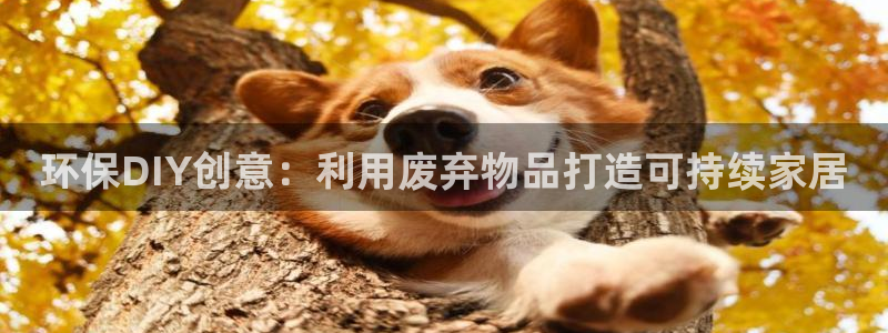 jdb电子中国