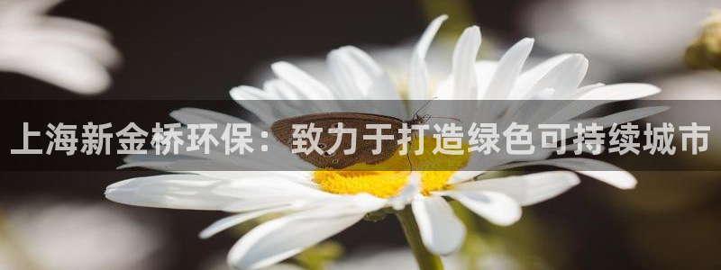 jdb电子游戏修改器