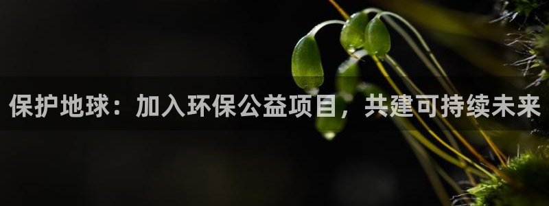 jdb电子官方网站首页官网